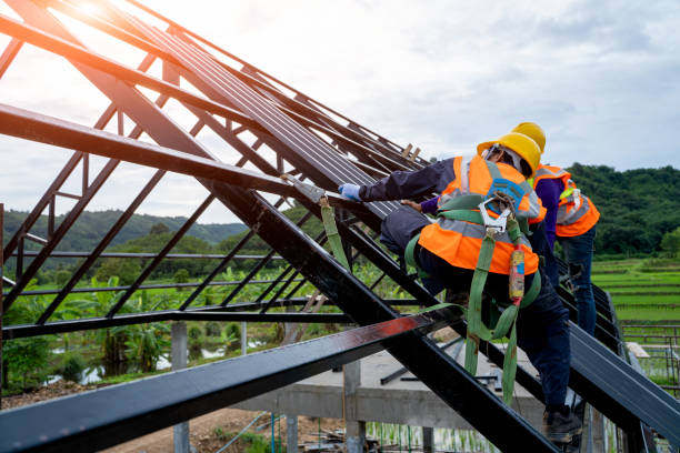 Best Gutter Installation and Roofing  in Honeygo, MD