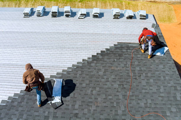 Best Roof Gutter Cleaning  in Honeygo, MD