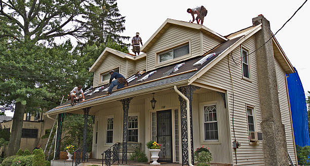 Best Storm Damage Roof Repair  in Honeygo, MD