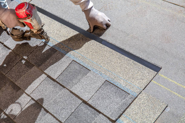 Best Roof Maintenance Services  in Honeygo, MD